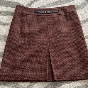 Ann Taylor Loft Skirt